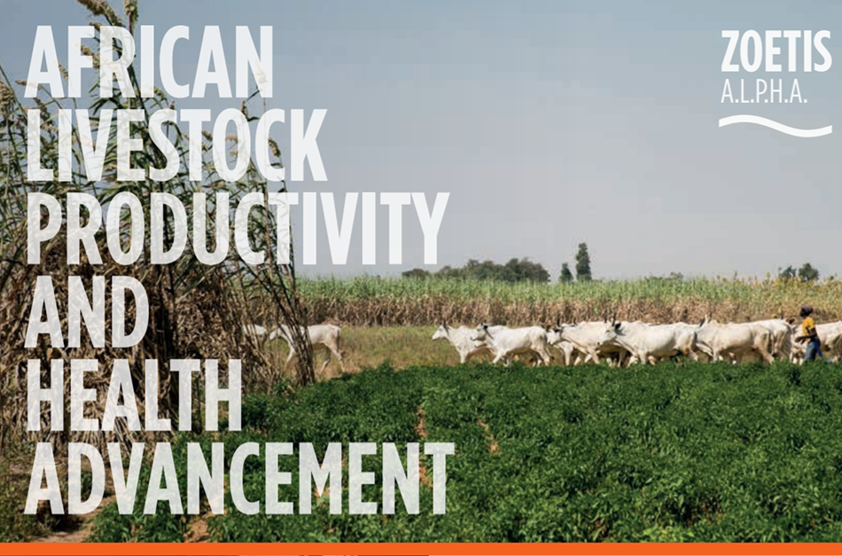 Zoetis A.L.P.H.A initiative Zoetis NG